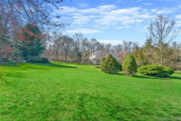 a view of a field of grass and trees