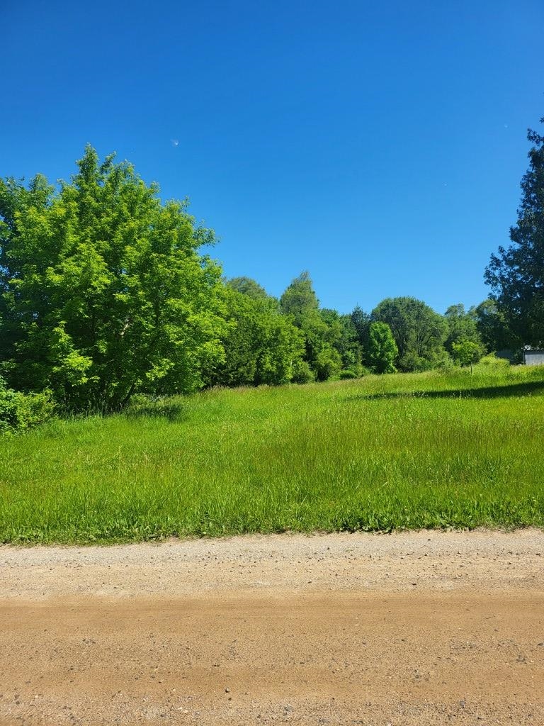 4957 East Valley Road Mount Pleasant, MI 48858 - Photo 3 of 6