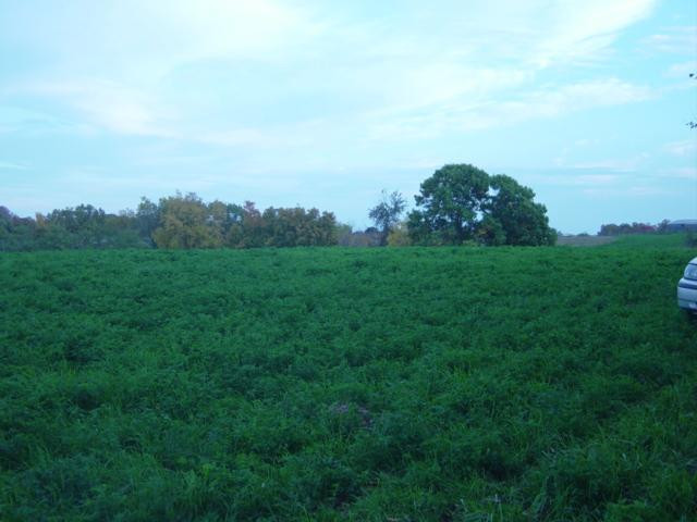 0 Haley Ridge Road Brooksville, KY 41004 - Photo 10 of 15 Gallery Image 10