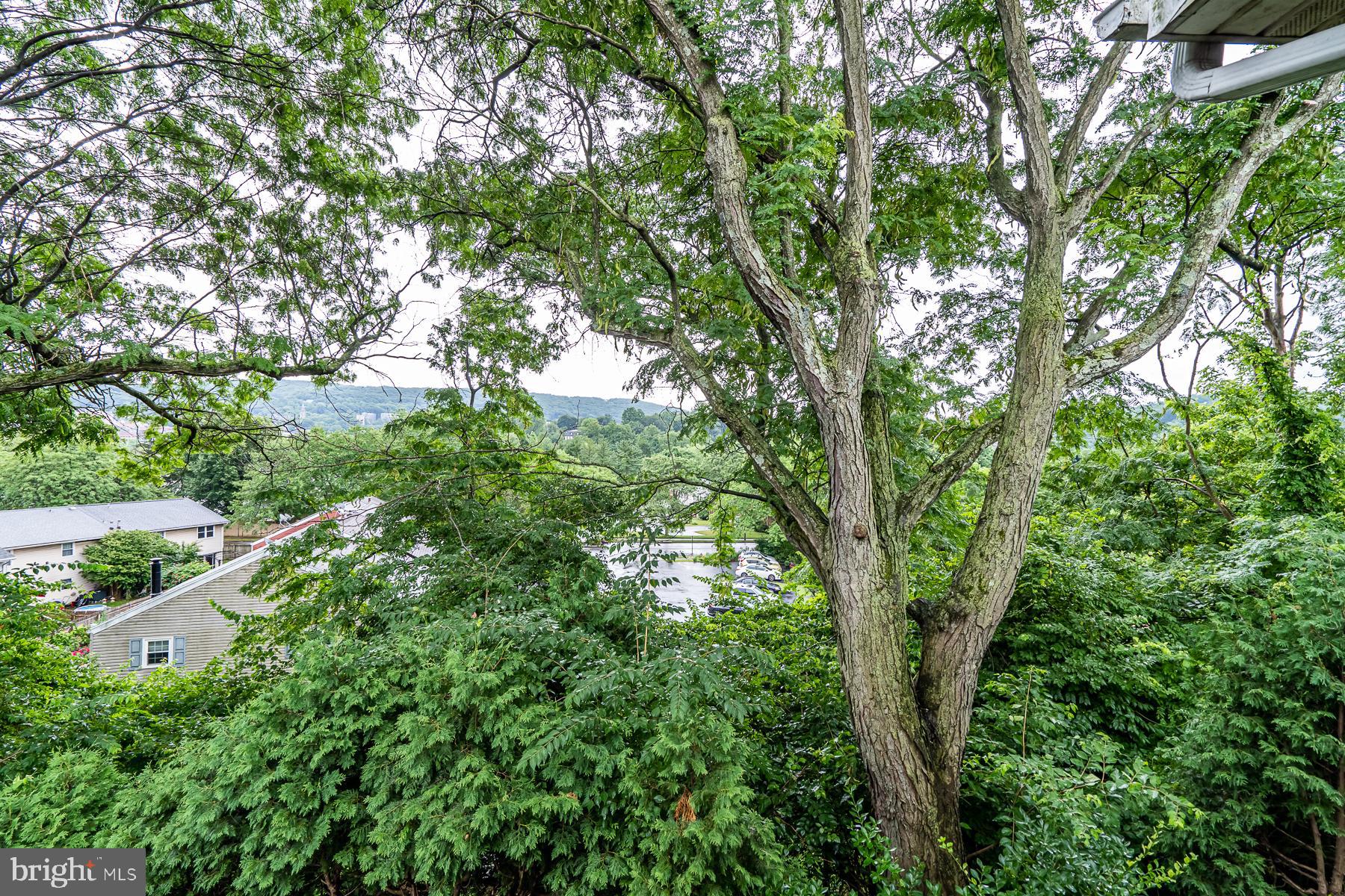 257 Spring Street Bethlehem, PA 18018 - Photo 22 of 39 Gallery Image 22