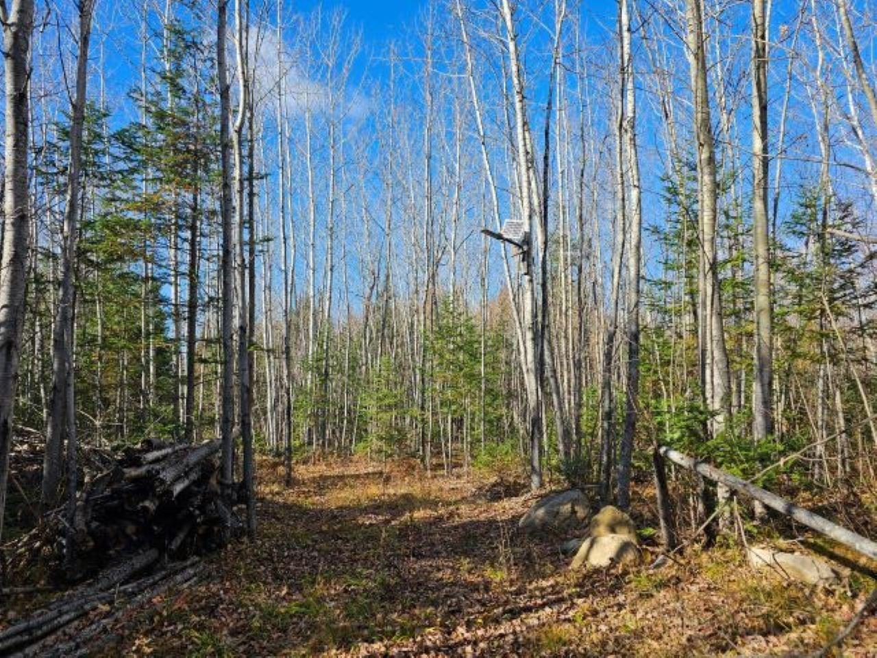 5913 North Adventures Trail Mercer, WI 54547 - Photo 9 of 15 Gallery Image 9