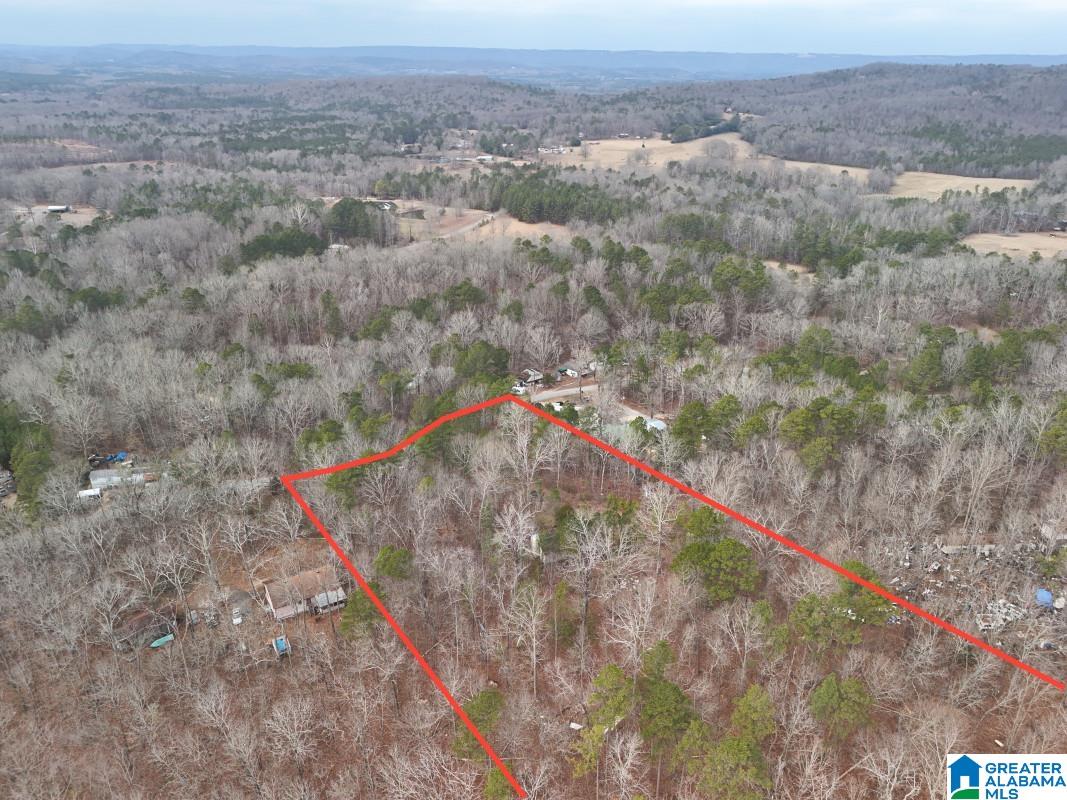 130 Evergreen Drive Springville, AL 35146 - Photo 12 of 20