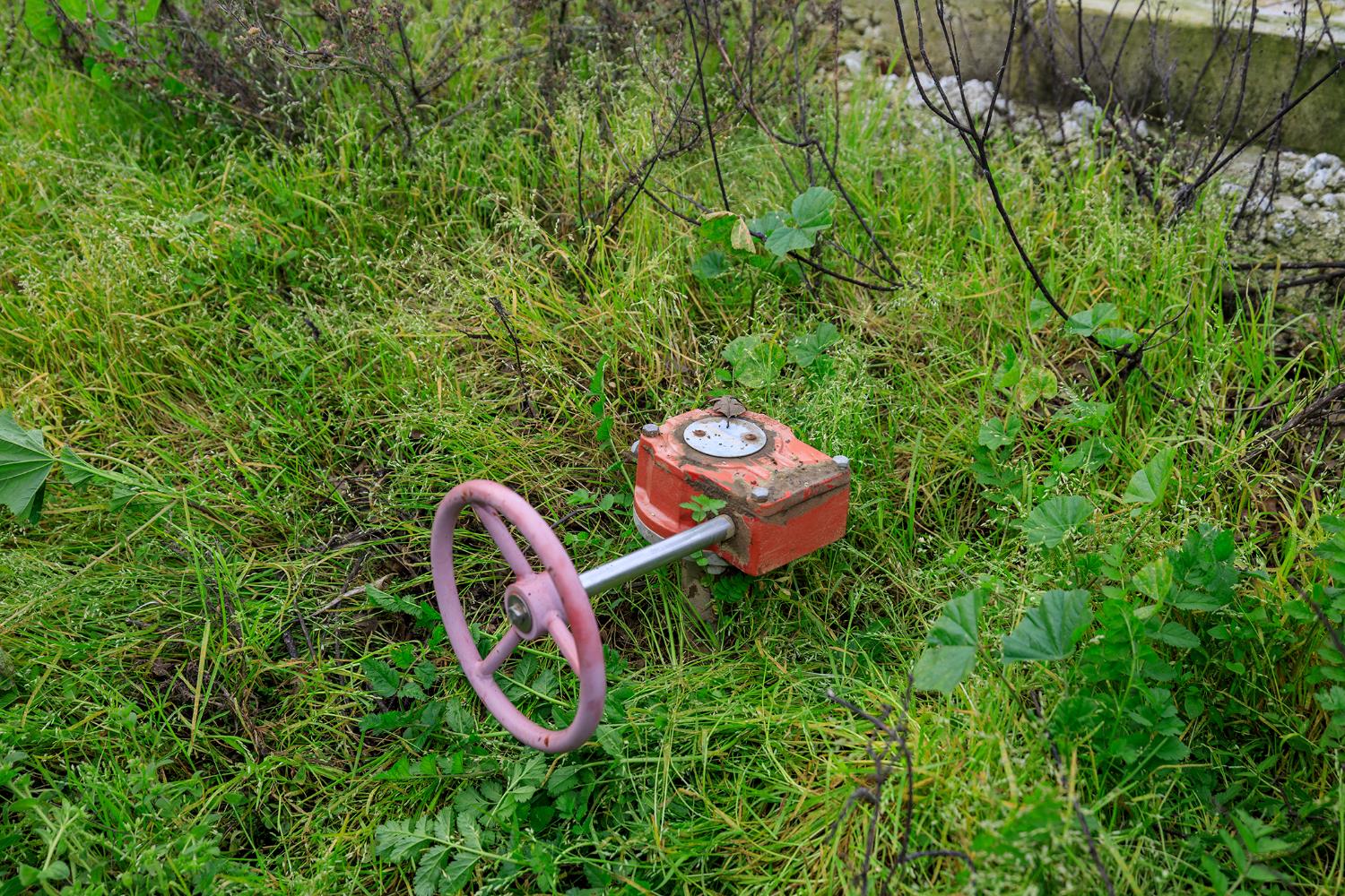 618 Wellsford Road Modesto, CA 95357 - Photo 6 of 26 a backyard of a house with lots of green space and plants