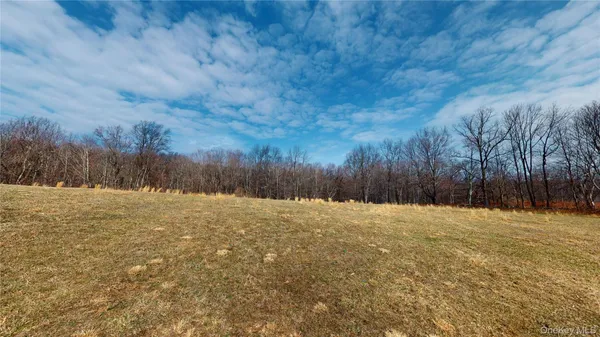a view of large yard with green space