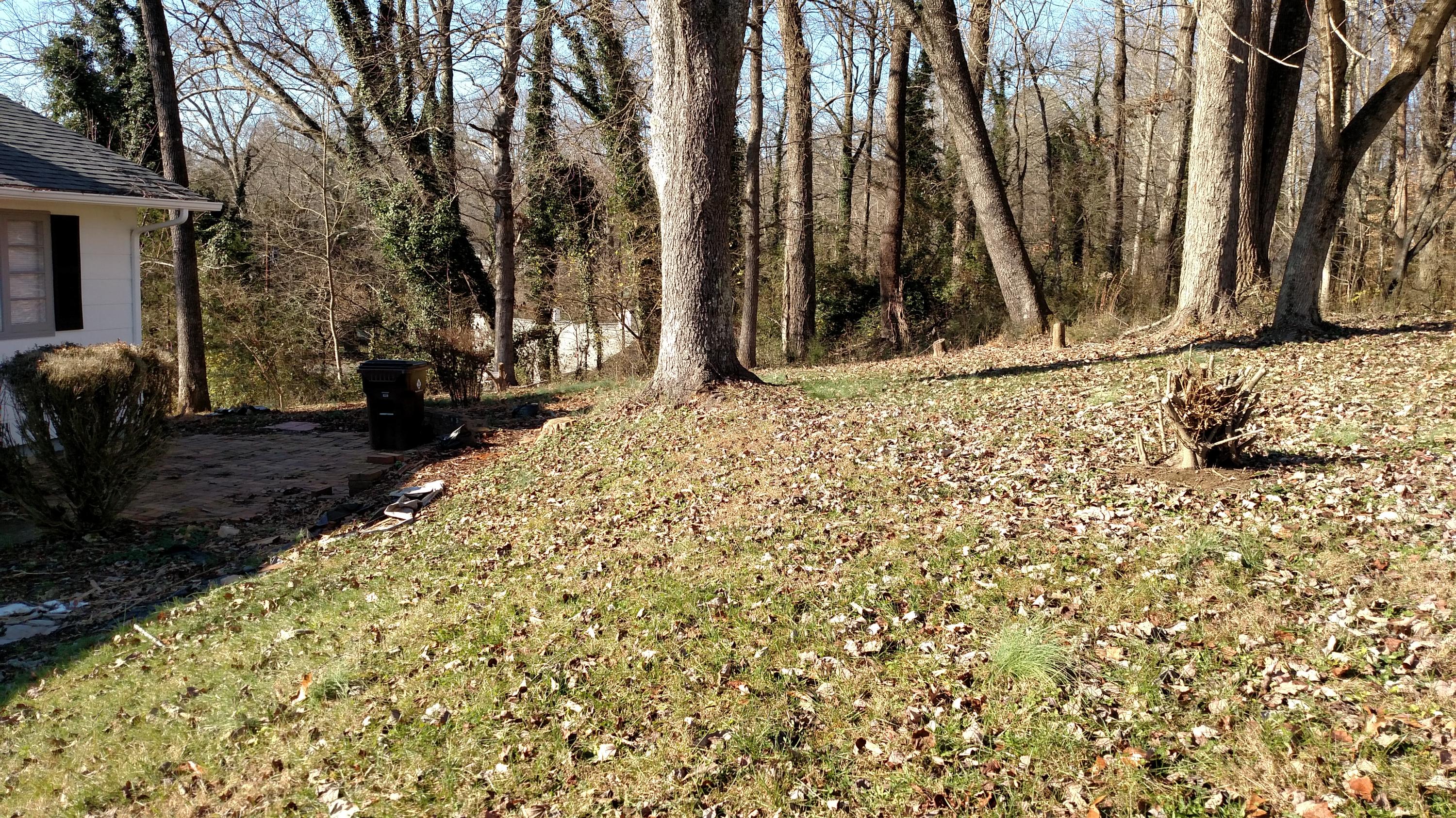 102 Utah Avenue Oak Ridge, TN 37830 - Photo 11 of 11 IMG_20151219_112316736
