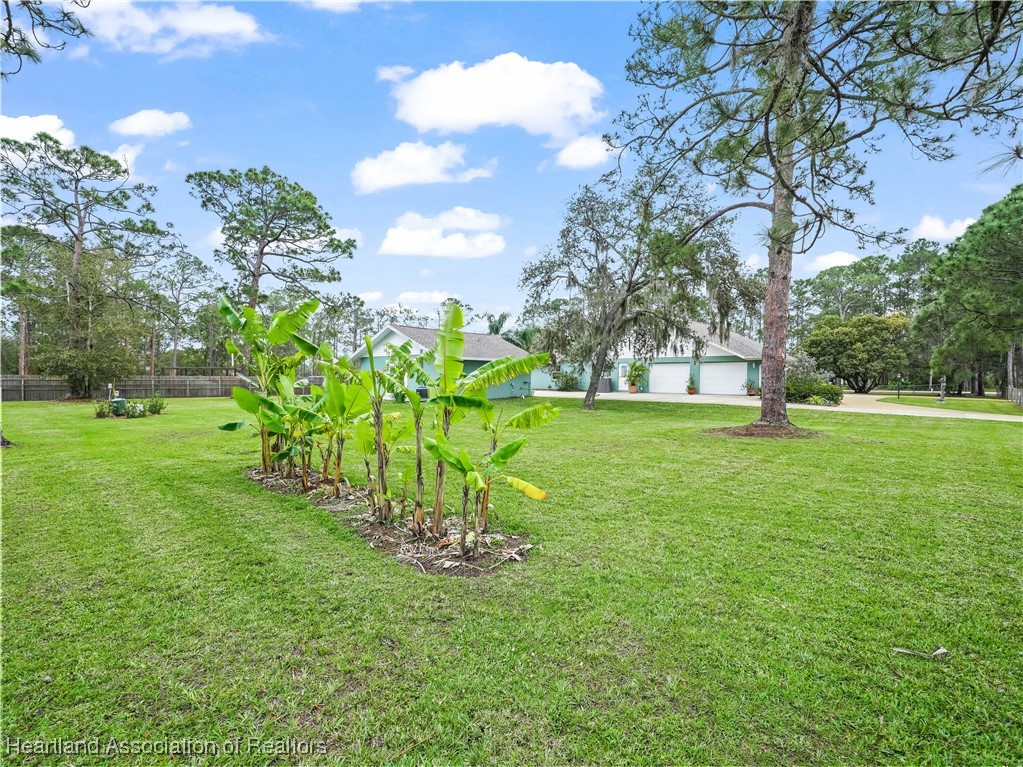 5342 Lime Road Sebring, FL 33875 - Photo 40 of 47 BANANA TREE PATCH!