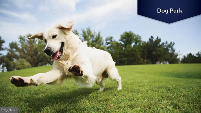 $2,950 | 109 Manasquan Way, Winchester, VA 22602