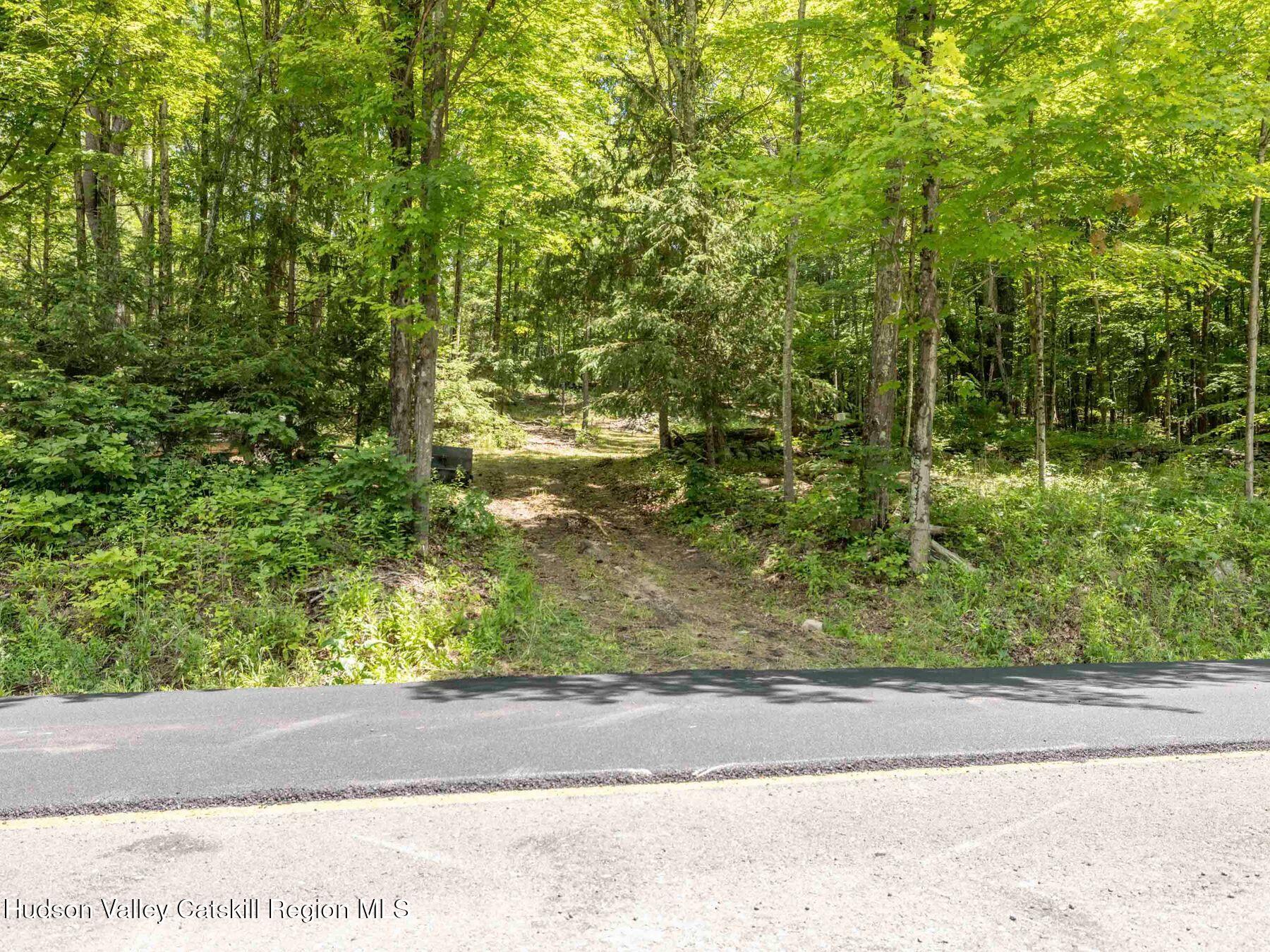 452 County Road 2 Accord, NY 12404 - Photo 41 of 45 a view of a yard