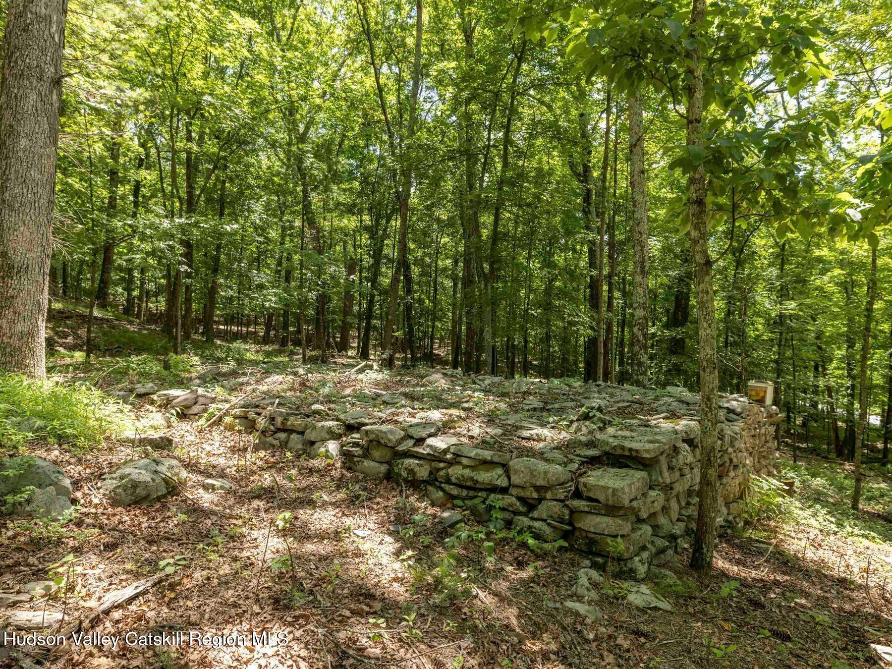 452 County Road 2 Accord, NY 12404 - Photo 42 of 45 a view of outdoor space and trees