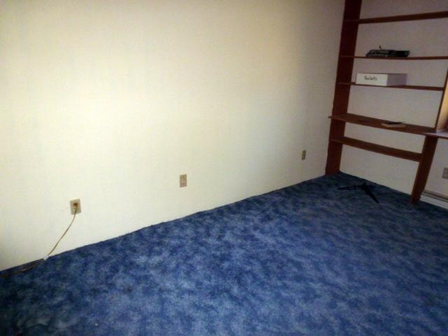 194 Knott Road Niles, MI 49120 - Photo 8 of 19 Additional Photo