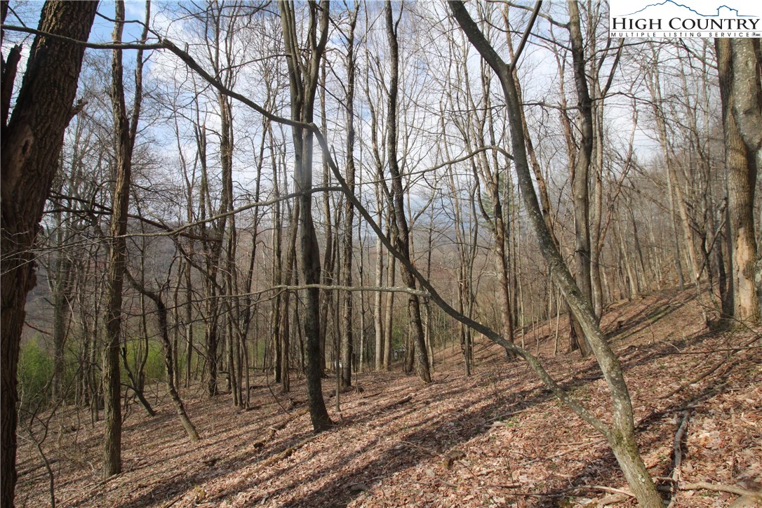 2970 Bear Wallow Road Lansing, NC 28643 - Photo 4 of 13