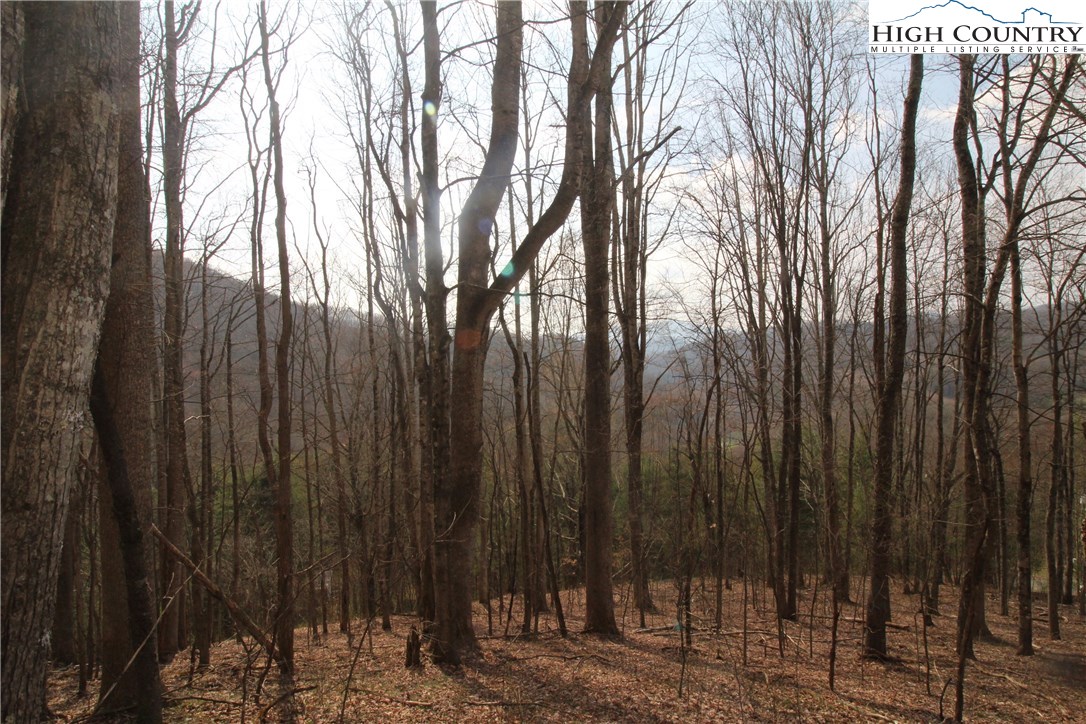 2970 Bear Wallow Road Lansing, NC 28643 - Photo 5 of 13