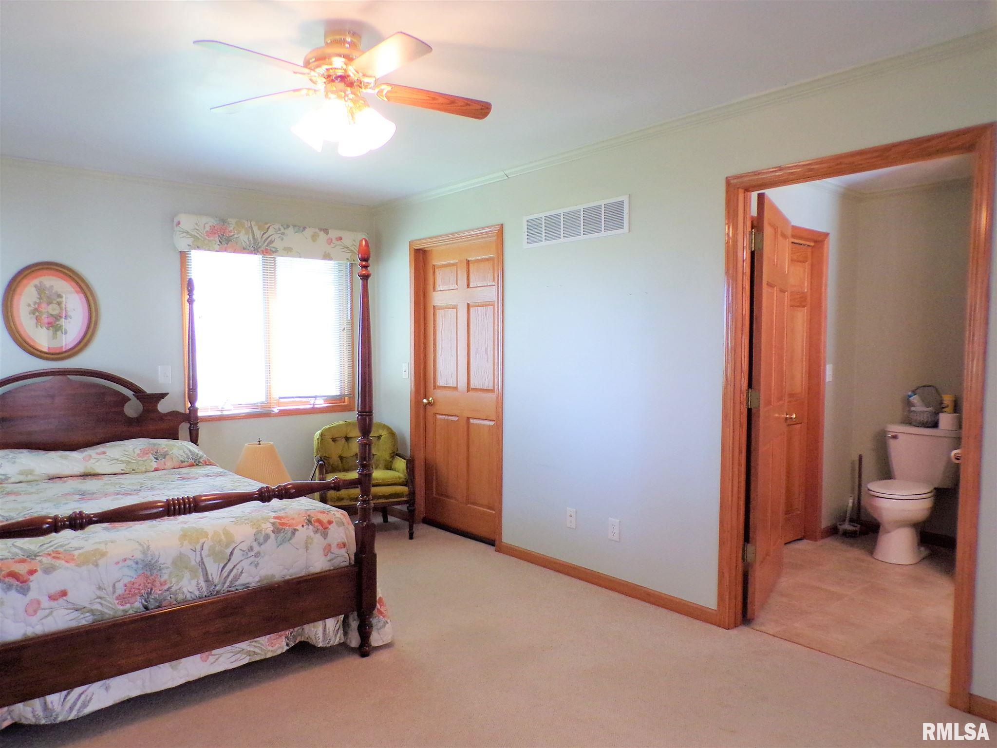 224 North Pilot Street Oneida, IL 61467 - Photo 23 of 45 Gallery Image 23