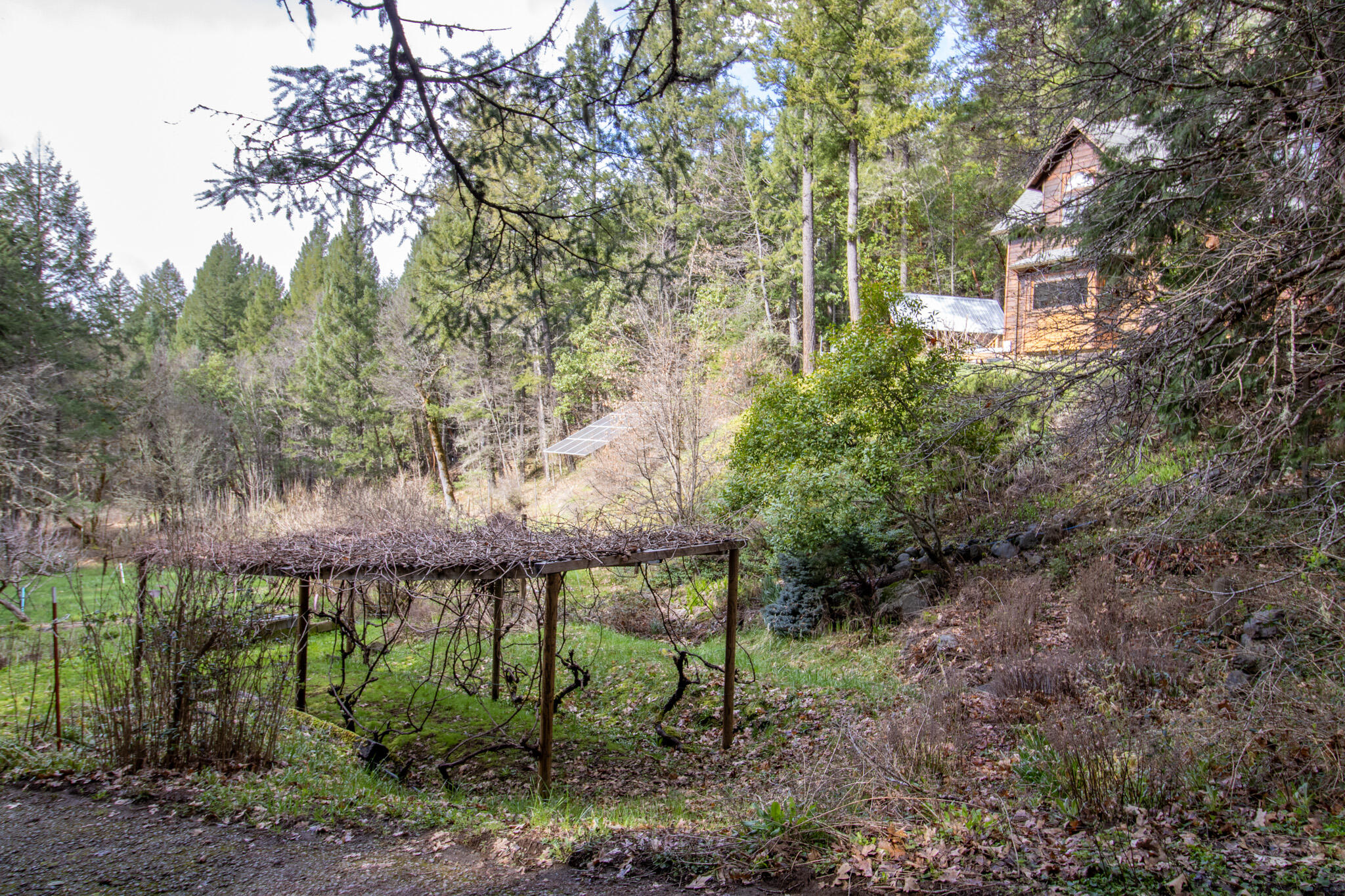 1449 Queen Of Bronze Road Cave Junction, OR 97523 - Photo 83 of 87 IMG_6681-HDR