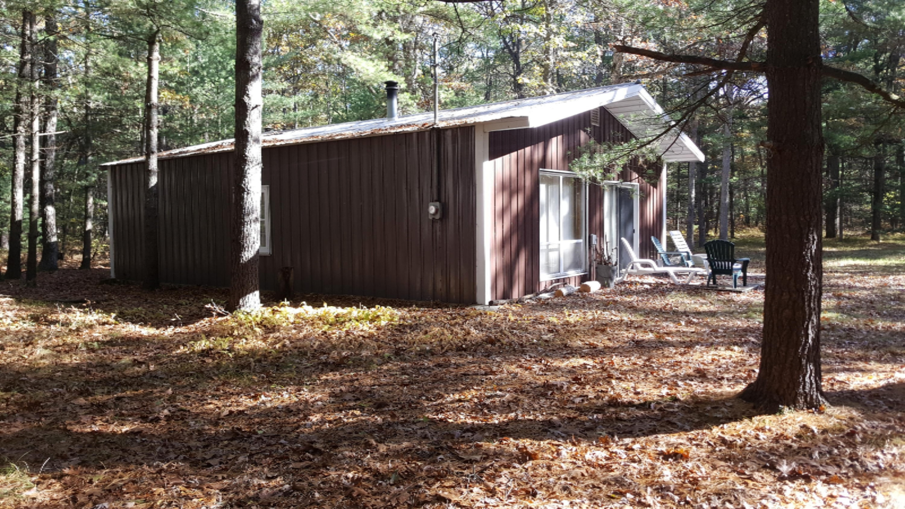 10192 North Dexter Road Irons, MI 49644 - Photo 1 of 15 20181022_113838