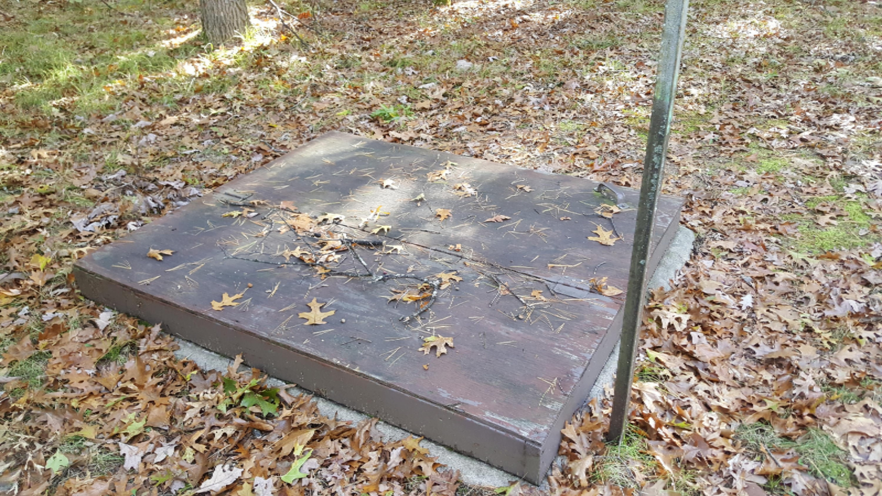 10192 North Dexter Road Irons, MI 49644 - Photo 3 of 15 20181022_114600