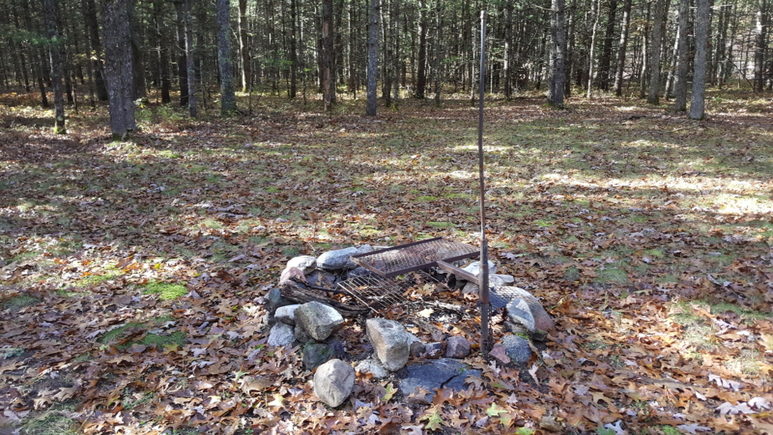 10192 North Dexter Road Irons, MI 49644 - Photo 7 of 15 20181022_114713