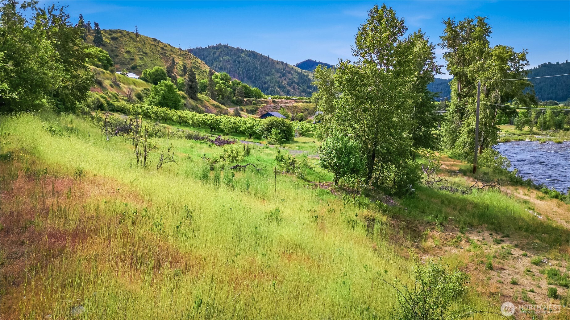 0 North Dryden Road Cashmere, WA 98815 - Photo 12 of 39 Gallery Image 12