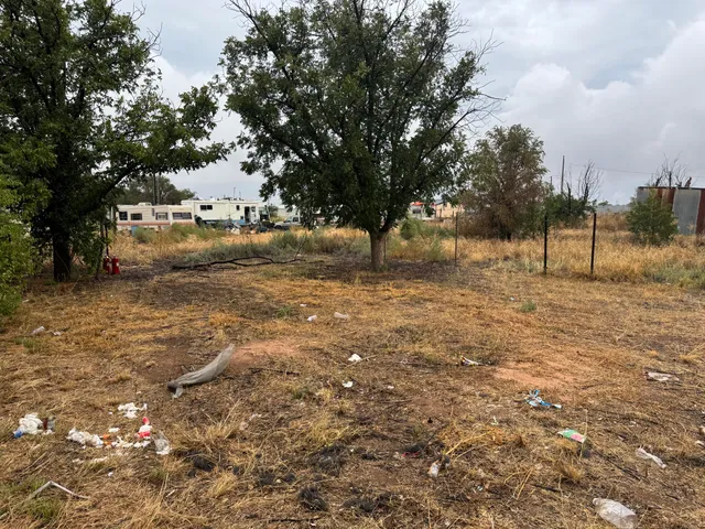 a view of a dry yard with trees