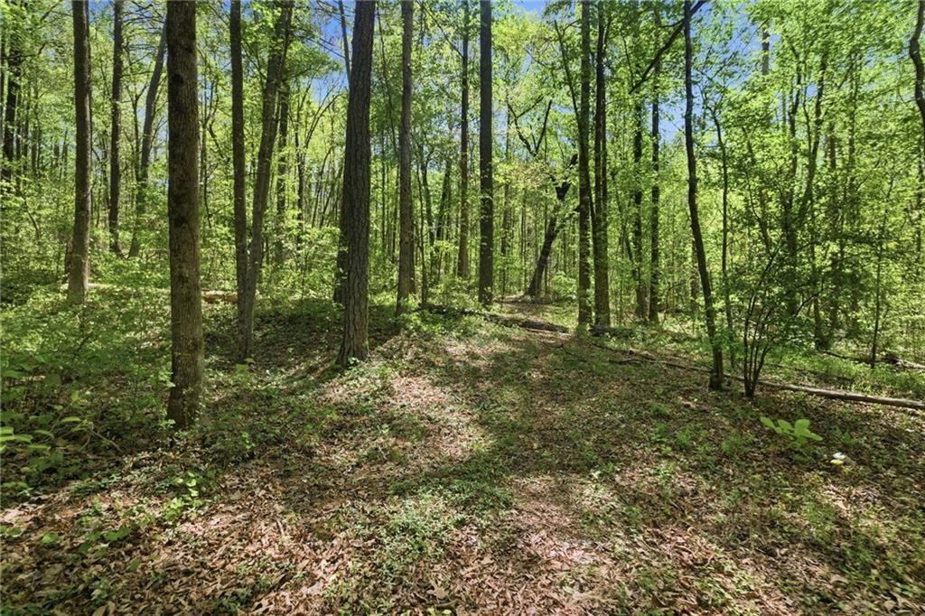 5430 Bethlehem Road Fairburn, GA 30213 - Photo 36 of 43