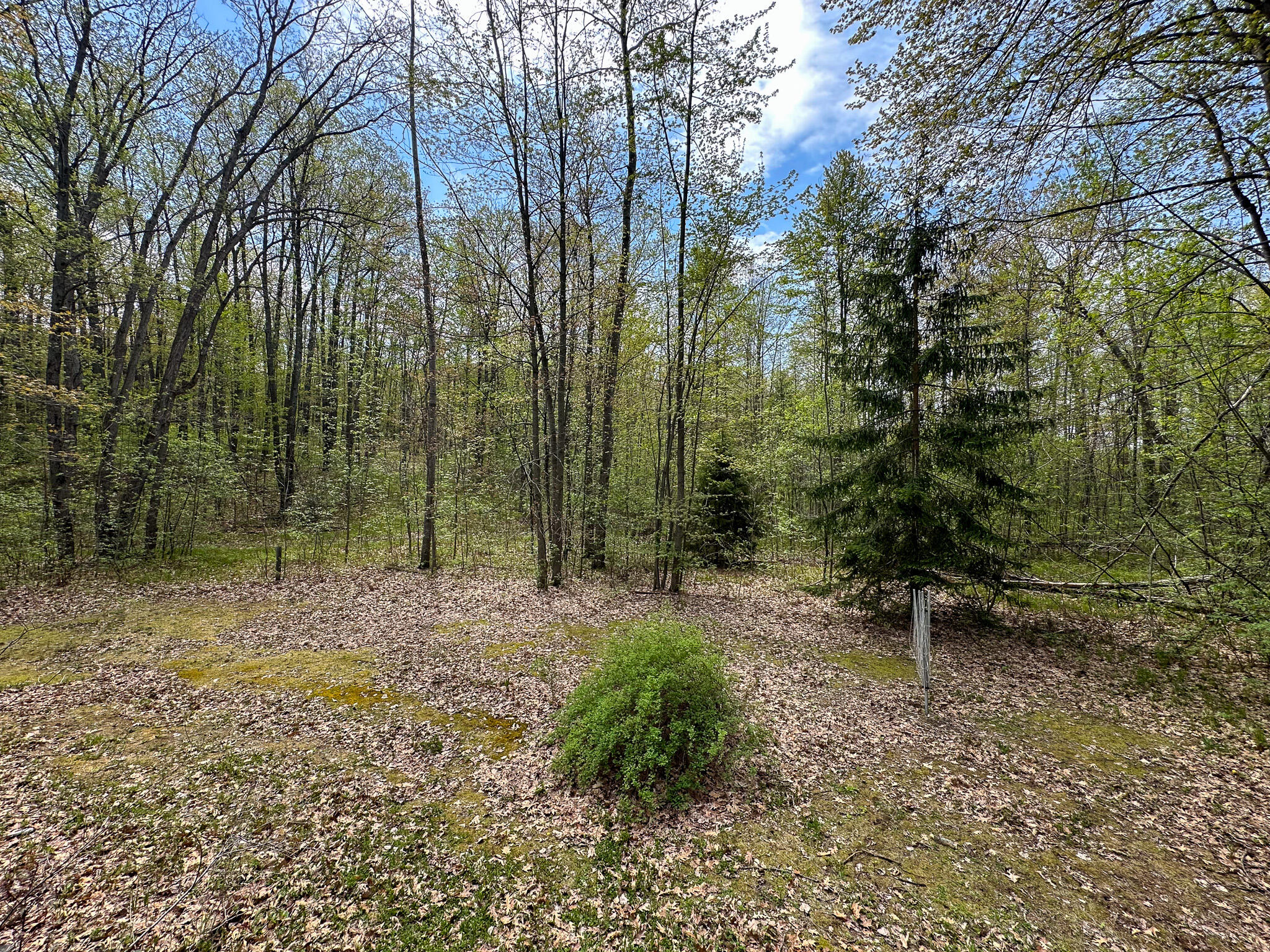 2081 Deer Lake Road Harrison, MI 48625 - Photo 10 of 42 Back Yard