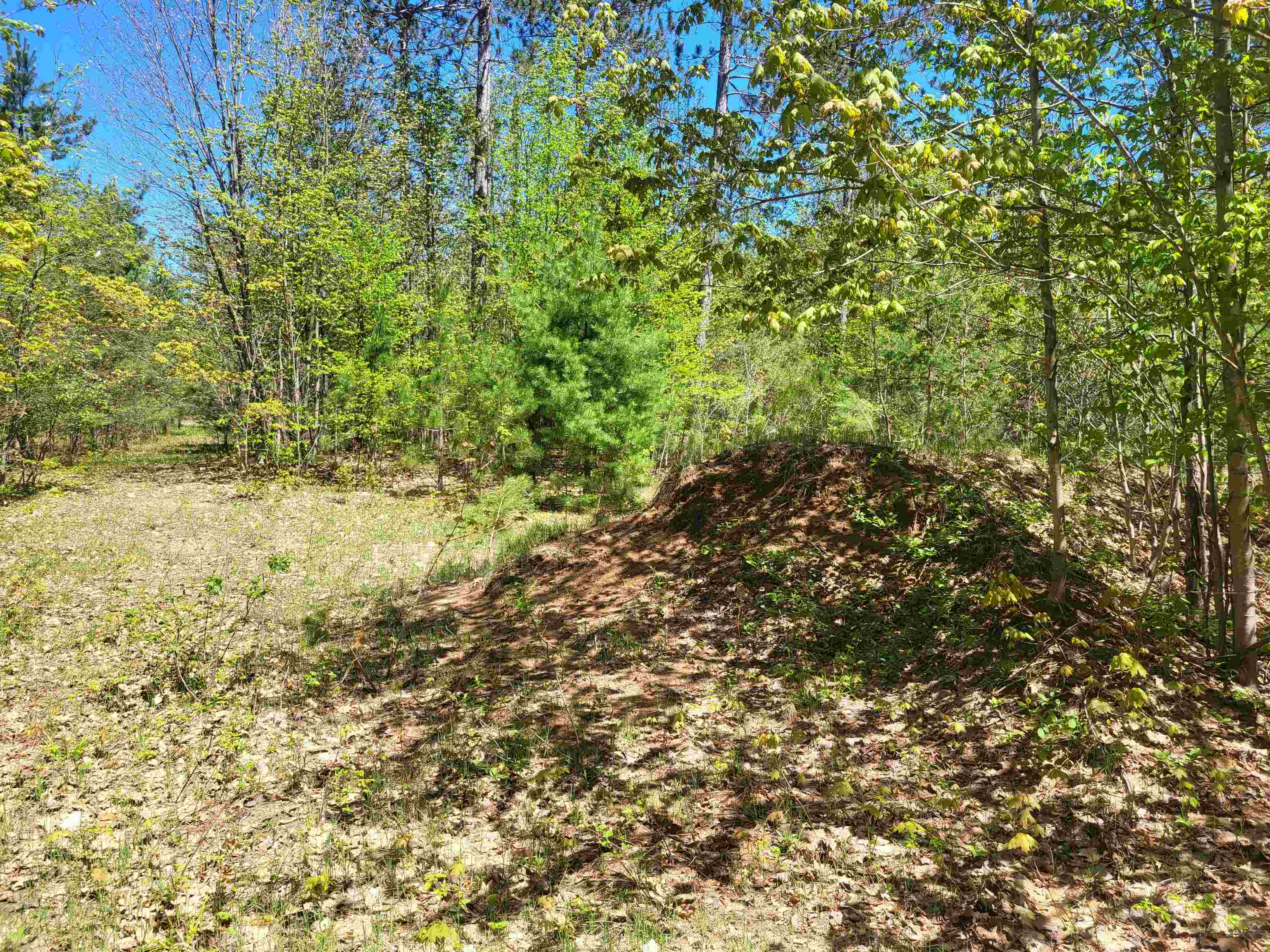 0 North Hulbert Road Lake Ann, MI 49650 - Photo 4 of 14