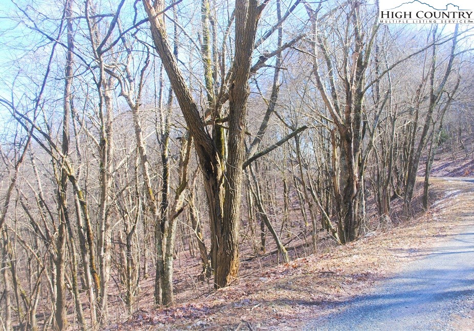 Lot 7 Saddle Road Boone, NC 28607 - Photo 2 of 8
