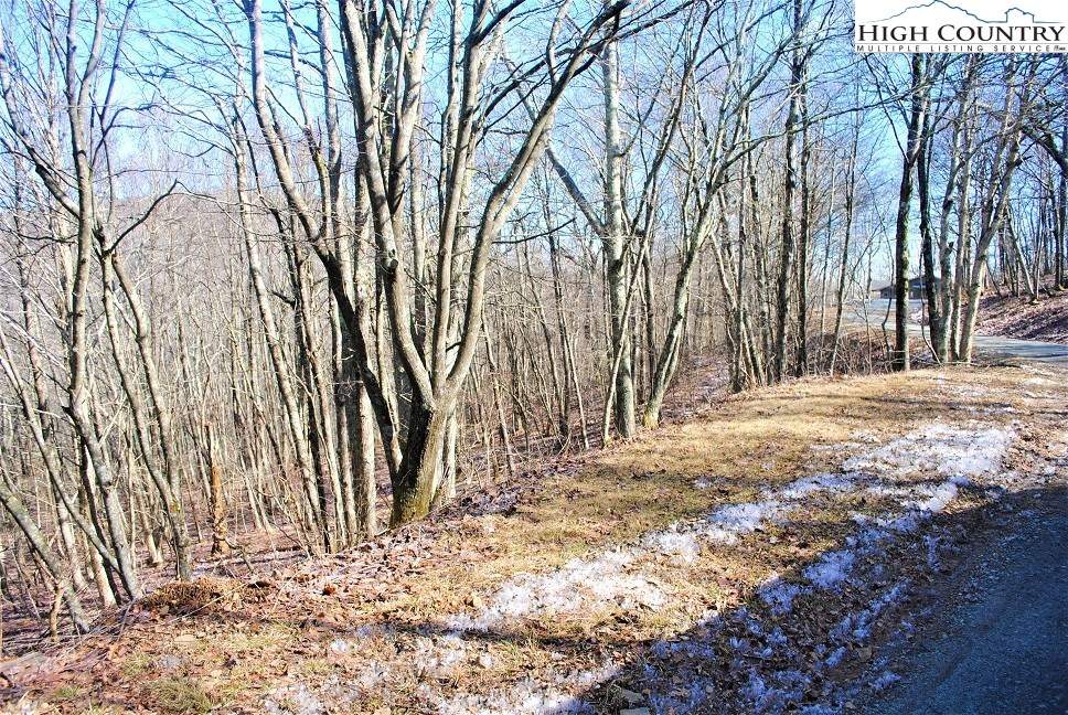 Lot 7 Saddle Road Boone, NC 28607 - Photo 3 of 8