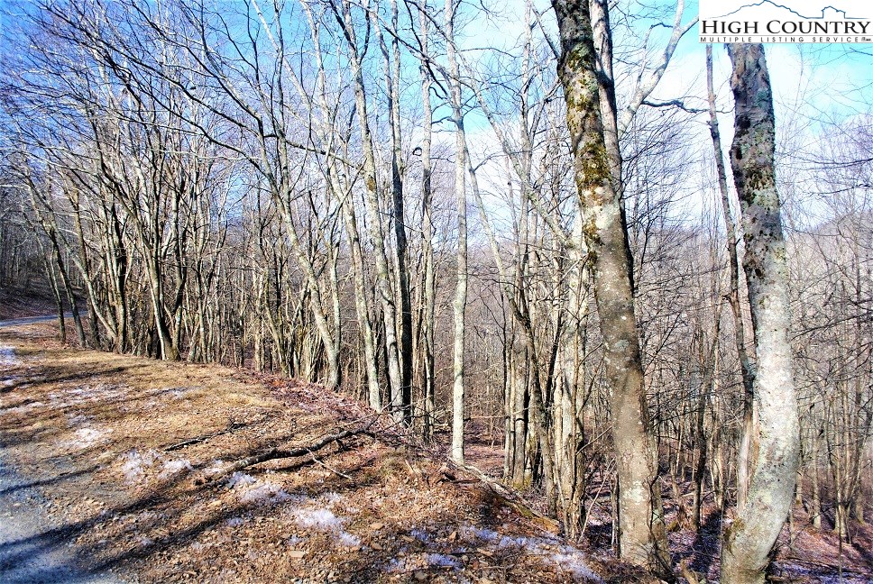 Lot 7 Saddle Road Boone, NC 28607 - Photo 4 of 8