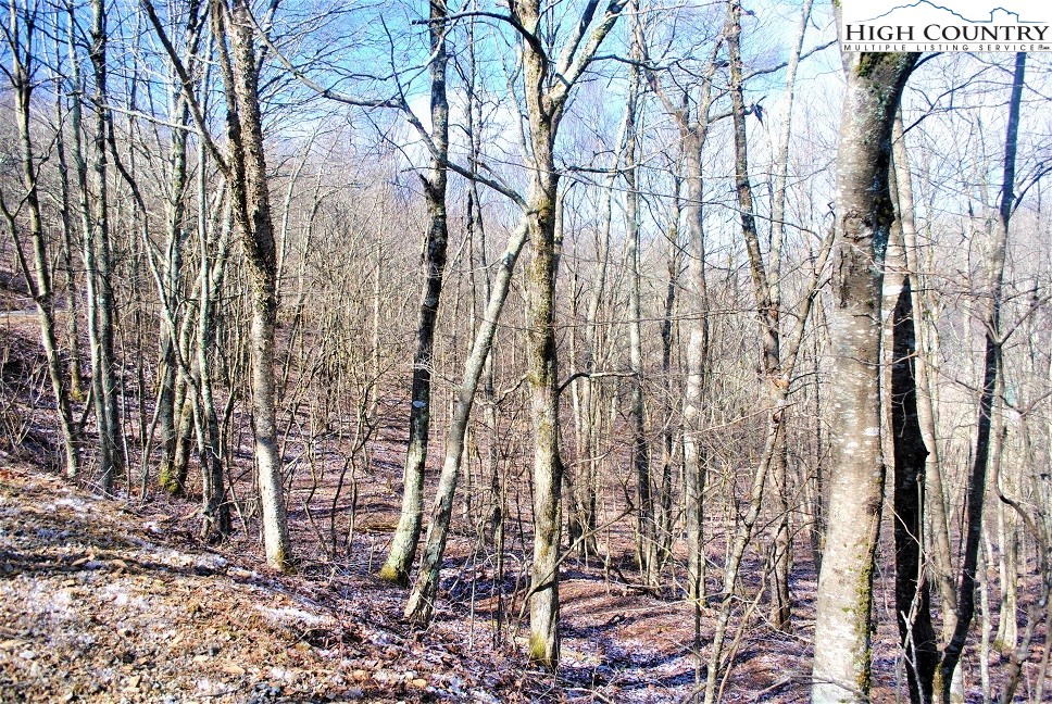 Lot 7 Saddle Road Boone, NC 28607 - Photo 5 of 8