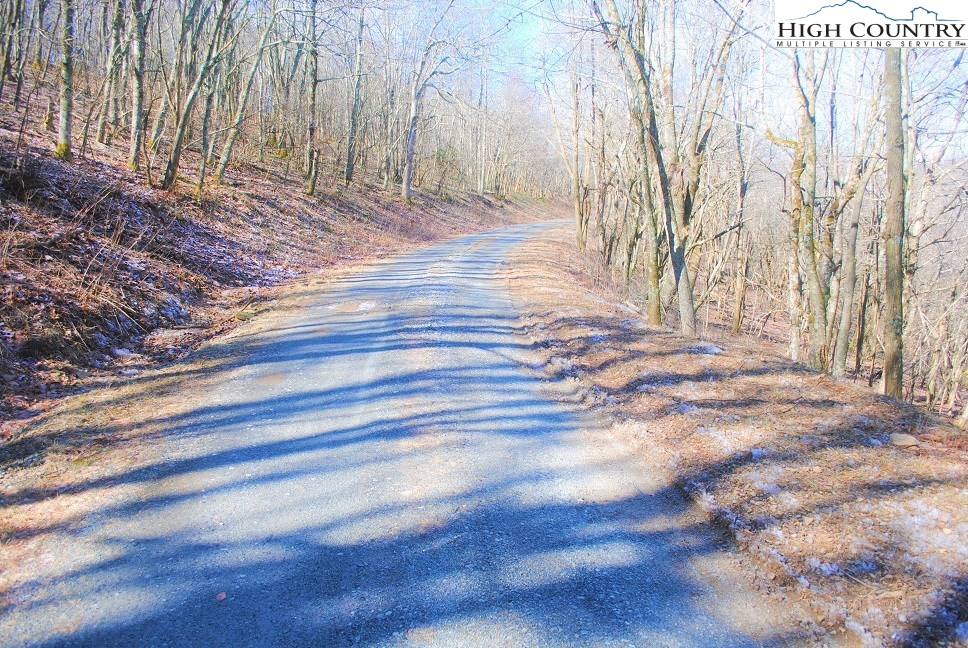 Lot 7 Saddle Road Boone, NC 28607 - Photo 6 of 8
