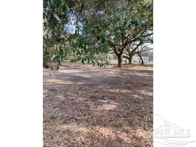 4000 Roxies Lane Pace, FL 32571 - Photo 5 of 15 Gallery Image 5