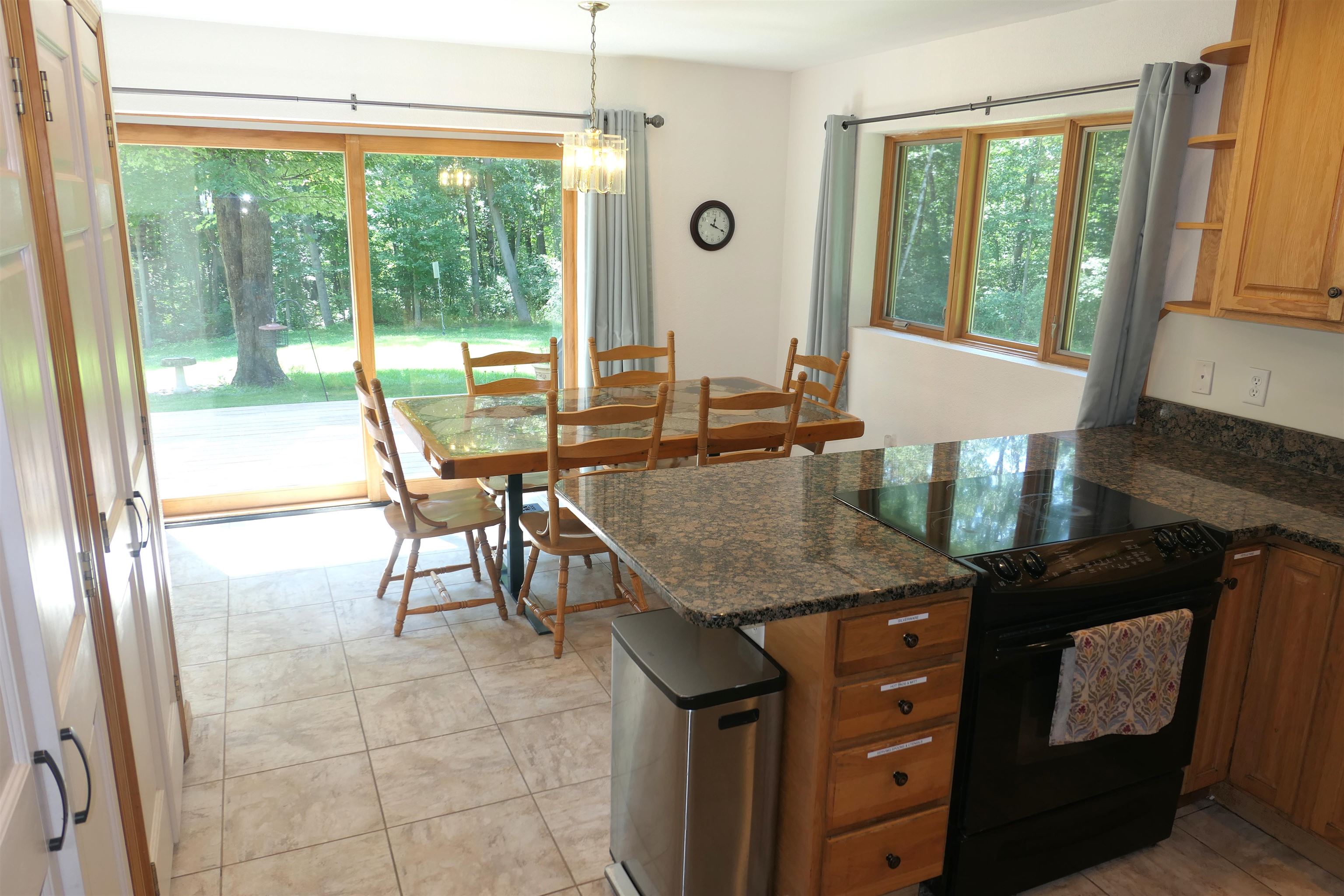 4769 Feather Trail Edmore, MI 48829 - Photo 9 of 53