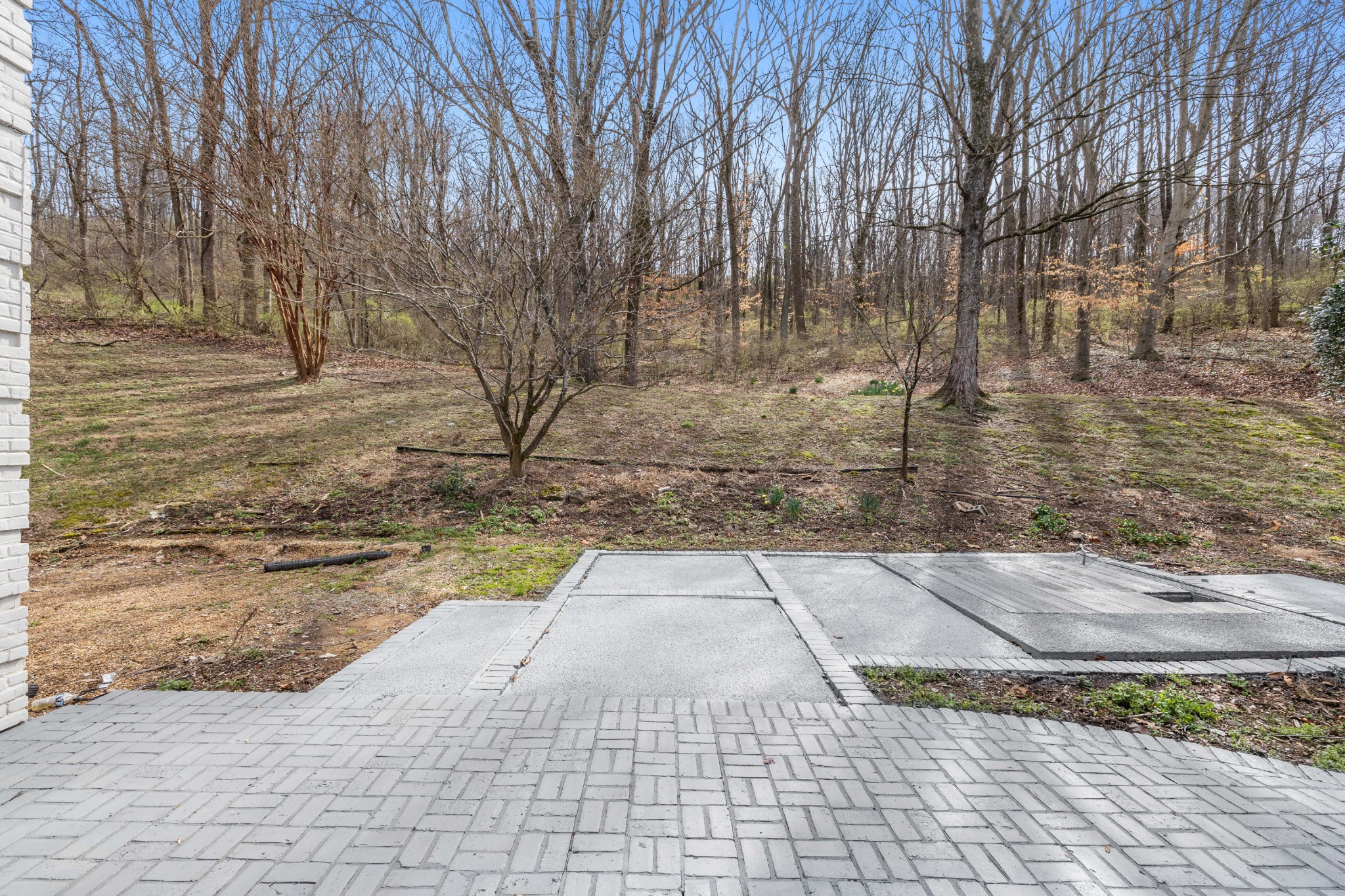 4366 Chickering Lane Nashville, TN 37215 - Photo 26 of 32 a view of yard with large trees