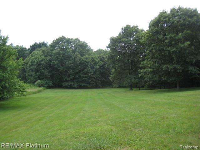 1874 County Farm Road Howell, MI 48843 - Photo 5 of 22 WOODED ACROSS BACK OF 3 ACRES
