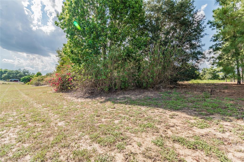 2000 Williams Road Winter Garden, FL 34787 - Photo 1 of 1 Gallery Image 1