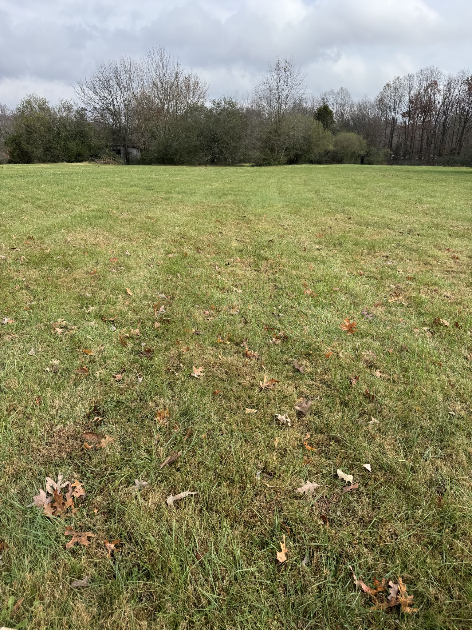 354 Spring Creek Road Lafayette, TN 37083 - Photo 13 of 14 a view of a field with an trees in the background