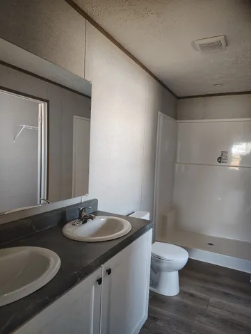 a bathroom with a sink and a toilet