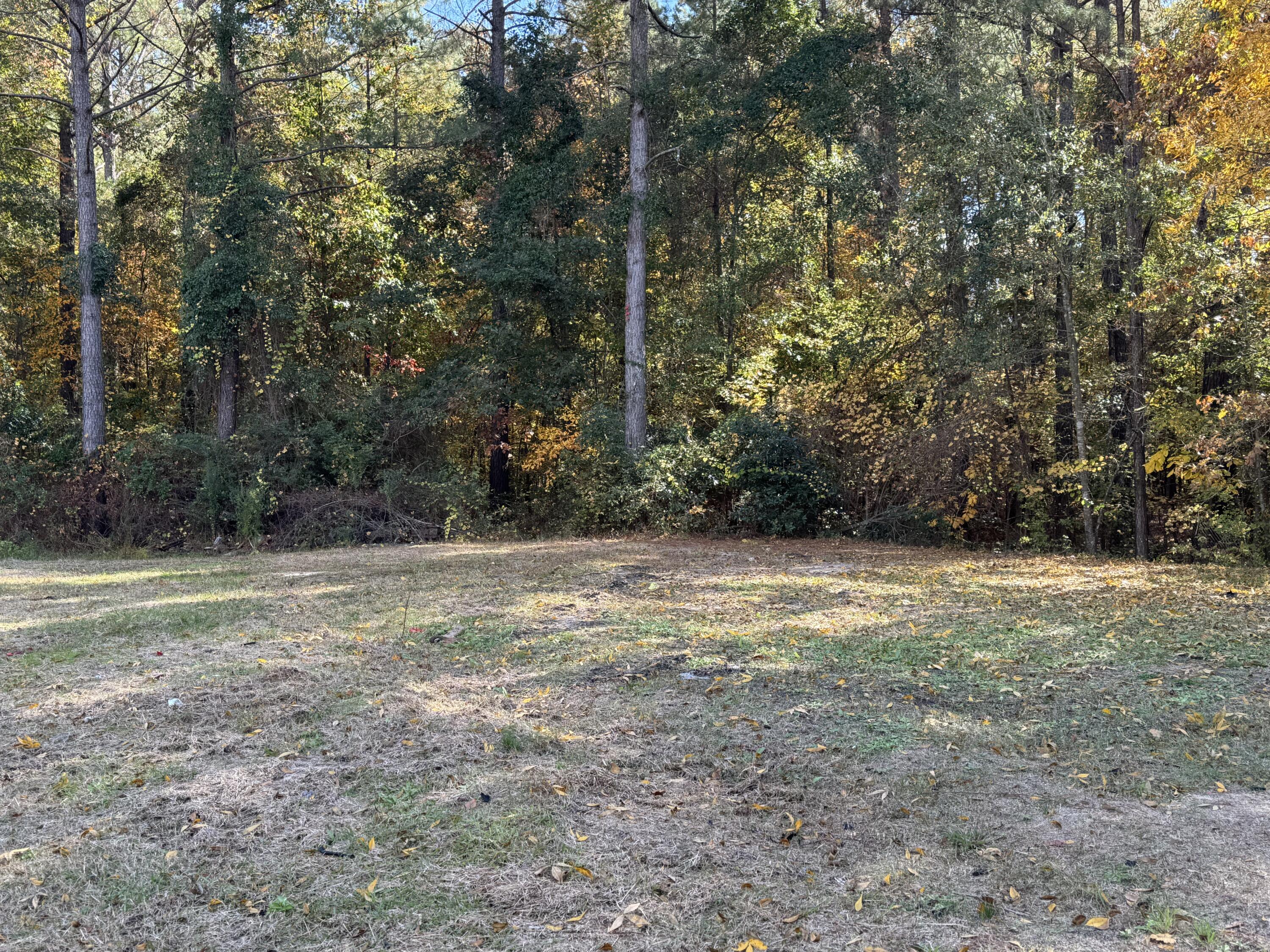 2475 Trinity Road Lynchburg, SC 29080 - Photo 2 of 23 Gallery Image 2