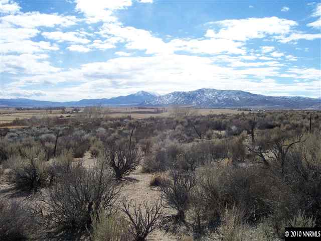 255 Artist View Road, Unit 2 Wellington, NV 89444 - Photo 2 of 3 Photo 2