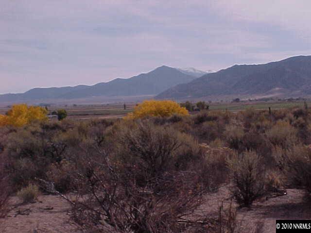 255 Artist View Road, Unit 2 Wellington, NV 89444 - Photo 3 of 3 Photo 3