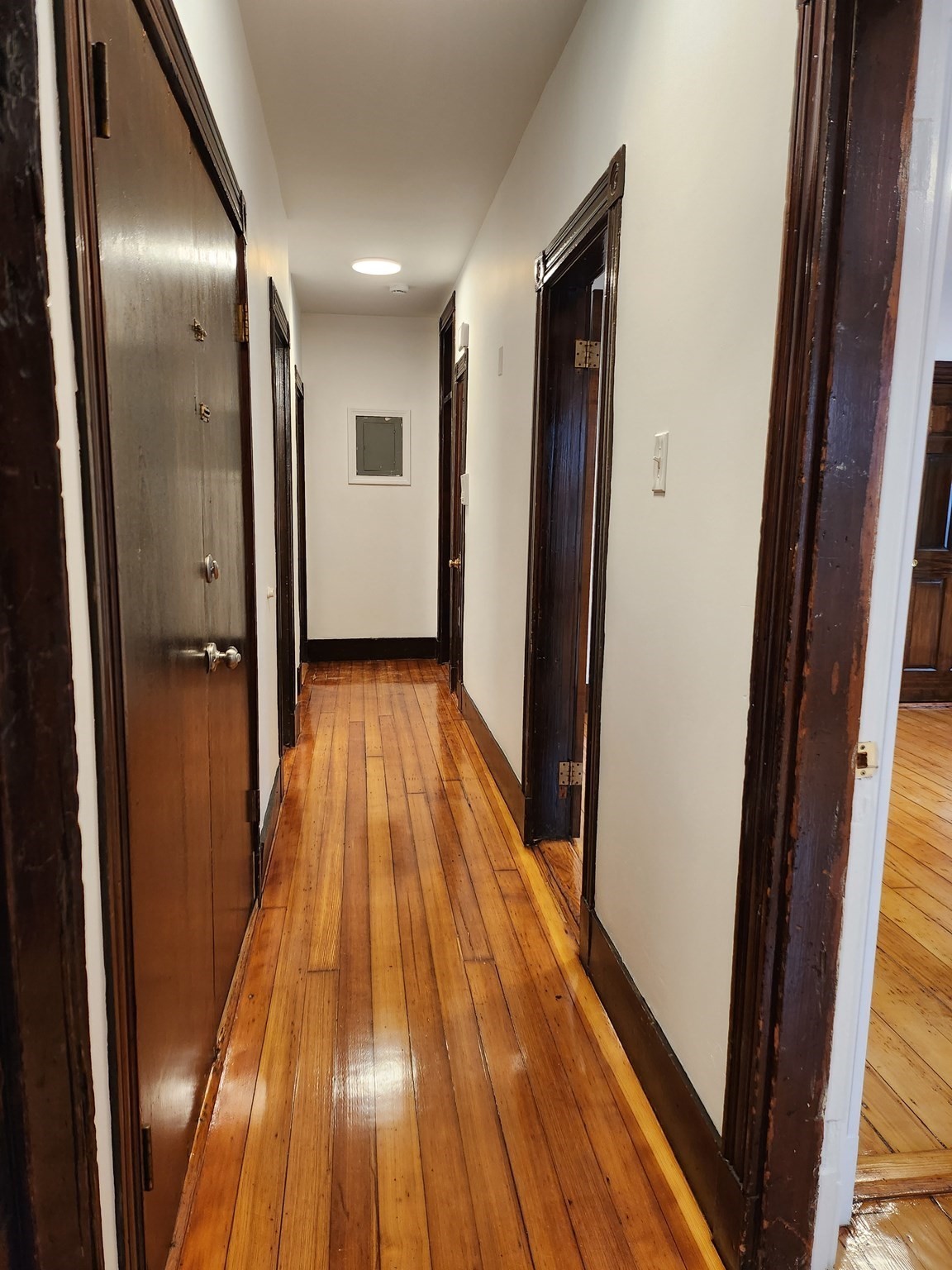 47 R Creighton Street, Unit 2 Boston, MA 02130 - Photo 17 of 23 Gallery Image 17