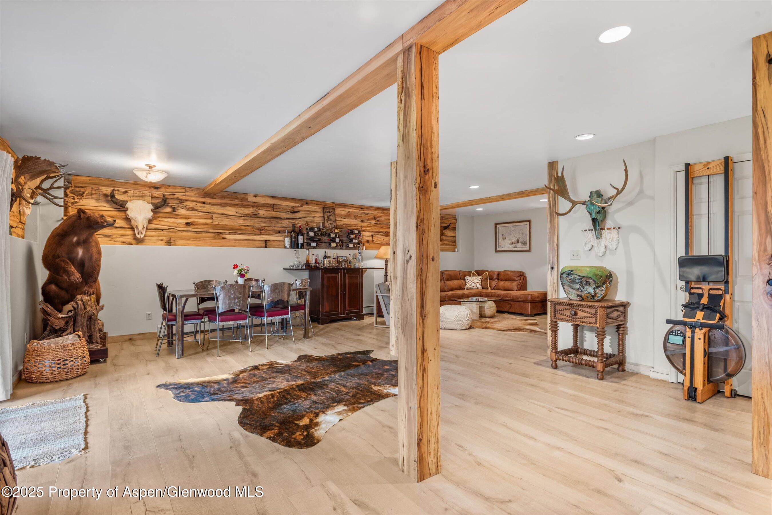 162 Original Road Basalt, CO 81621 - Photo 39 of 57 Downstairs living area