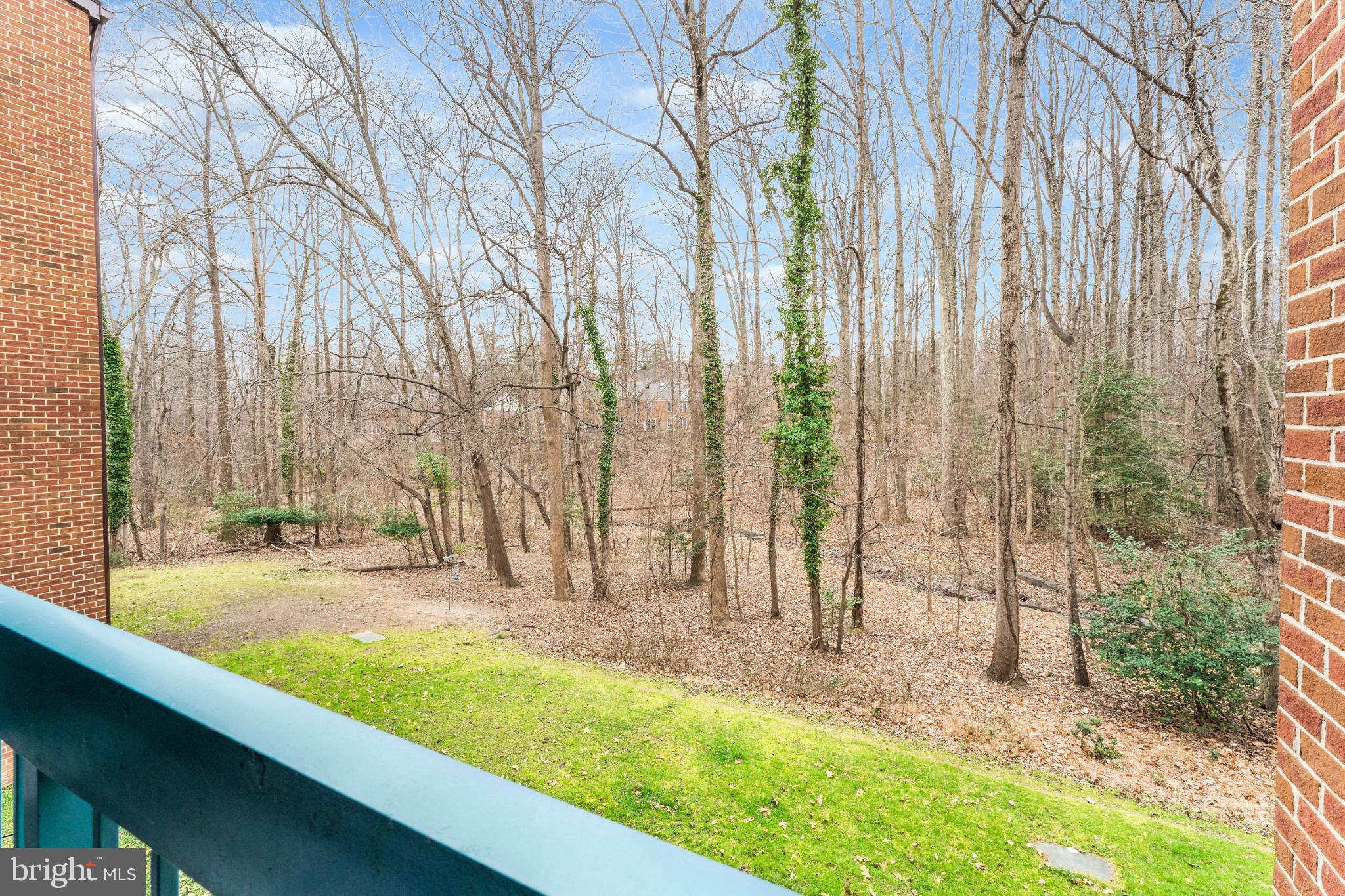 11833 Shire Court, Unit 11B Reston, VA 20191 - Photo 26 of 29 a view of a backyard with potted plants and large trees