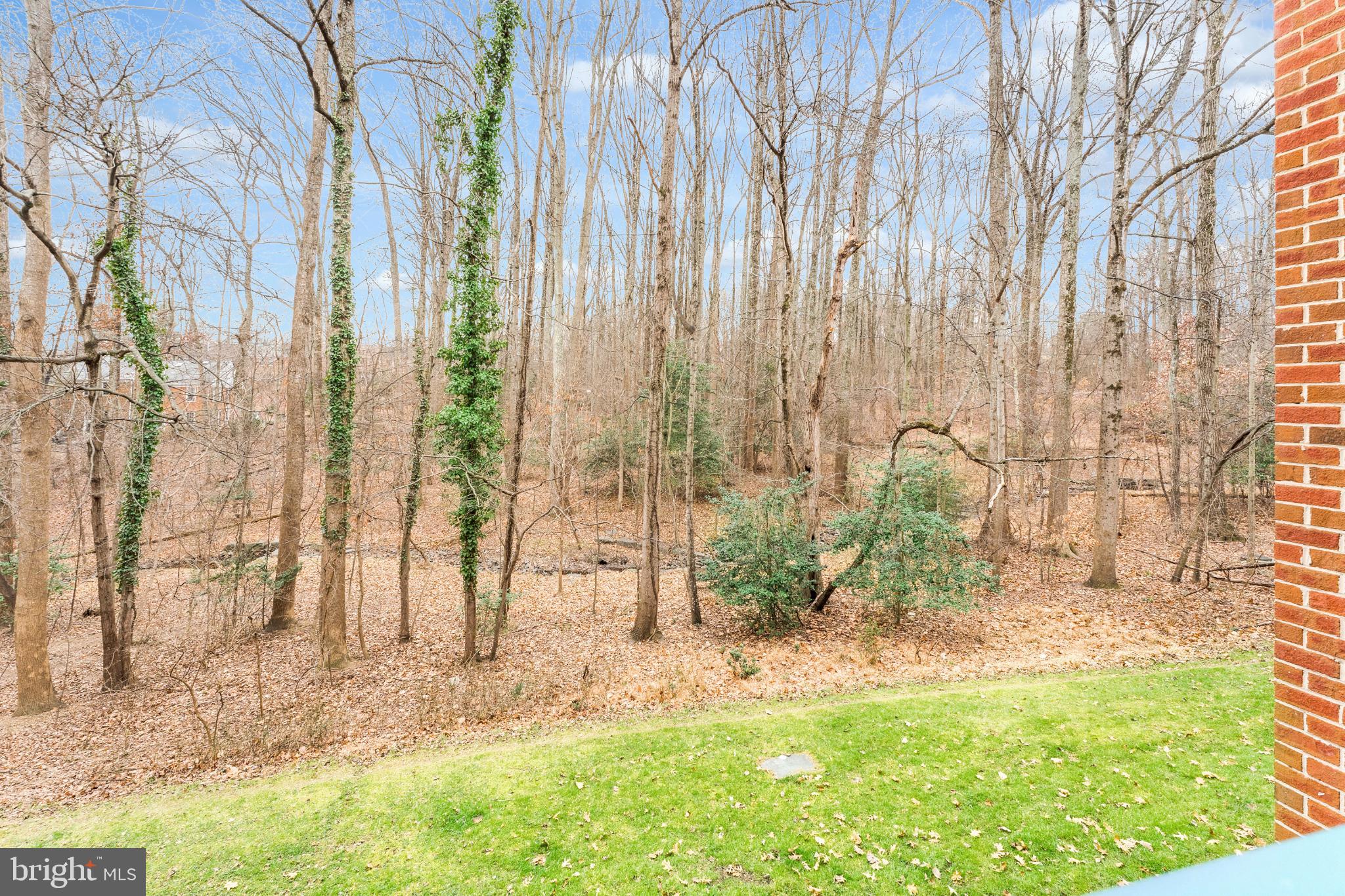 11833 Shire Court, Unit 11B Reston, VA 20191 - Photo 27 of 29 a view of a backyard with potted plants and large trees