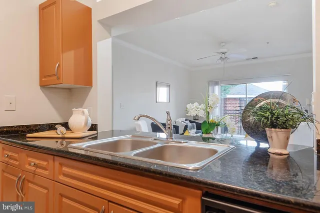 a kitchen with a sink and a potted plant
