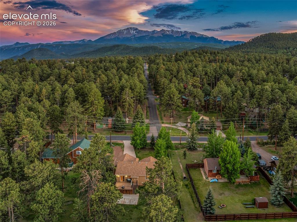 500 County Road Woodland Park, CO 80863 - Photo 45 of 47