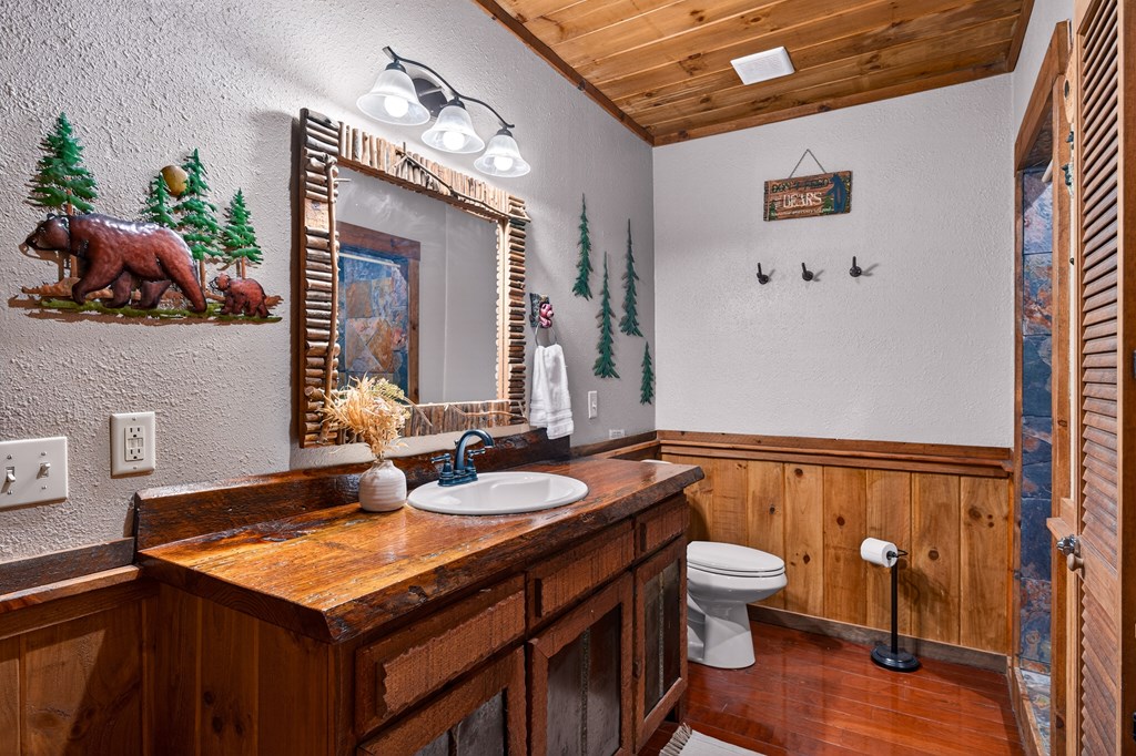 40 Adelaide Trail Blue Ridge, GA 30513 - Photo 25 of 32 a bathroom with a sink a toilet and a mirror