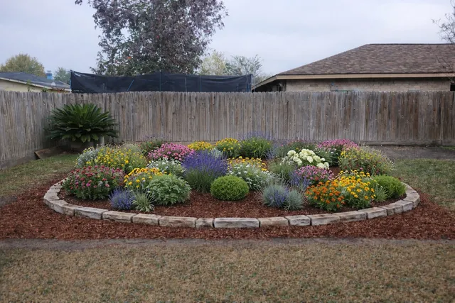 a front view of a house with a yard and plants