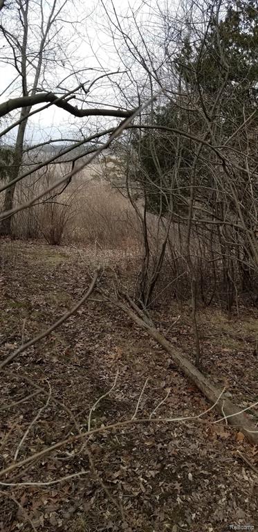 0 Palmers Way Fenton, MI 48430 - Photo 2 of 25